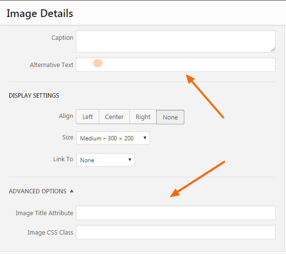SEO-Tips.png SEO-Tips.png